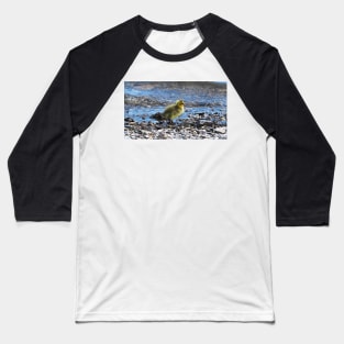 Gosling Walking Along The Water Baseball T-Shirt